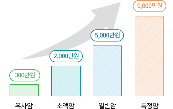 유사암:300만원, 소액암:2,000만원, 일반암:5,000만원, 특정암:9,000만원