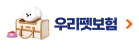 굿앤굿우리펫보험