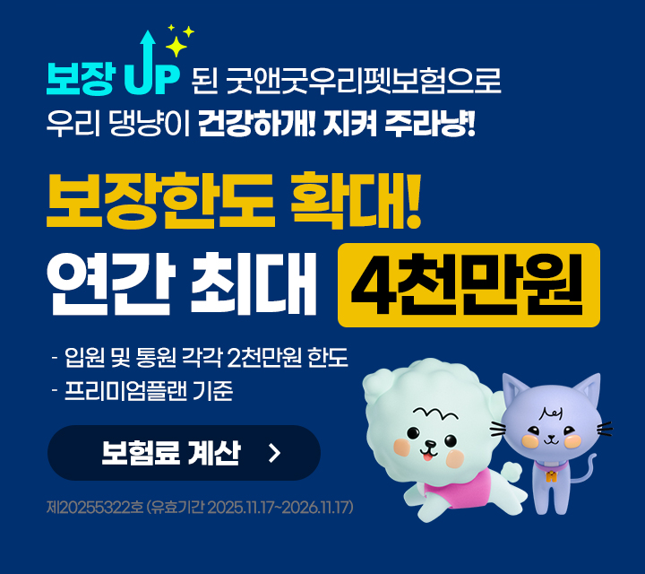 현대해상 굿앤굿우리펫보험 개정